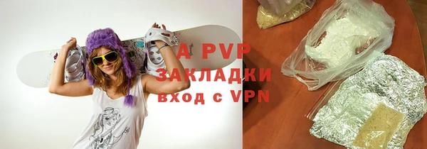 прущие крисы Бородино