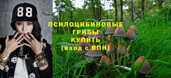 гашик Бугульма