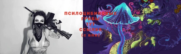 тгк Богородицк